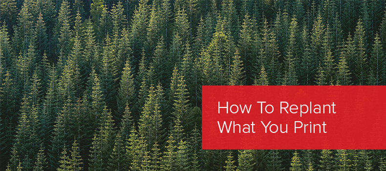 How To Replant What You Print image