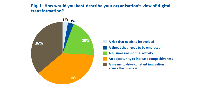 How would you best-describe your organisation’s view of digital transformation? .png